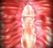 3ds max videos Imagetech 3d toon Hot nude 3d toon
