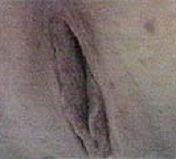 wet panty vids ivee bizzary woman wet lingerie pics