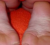 fresh footfetish model robbs cleb footfetishs footfetish voleyball