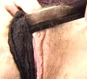 twilek hairy slut matuer hairy sluts naked hairy anal