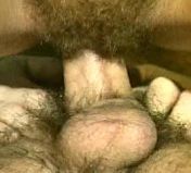 Hairy girls of Monica hairy fuck Hippy hairy
